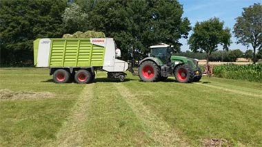 Silage stroh